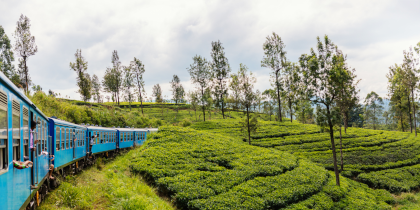  紅茶の国　スリランカ、標高差1,000mを走り抜ける紅茶列車も楽しめる｜旅行記